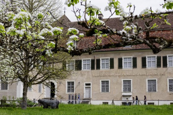 Vernissage: Sammlung Heiner Hoerni