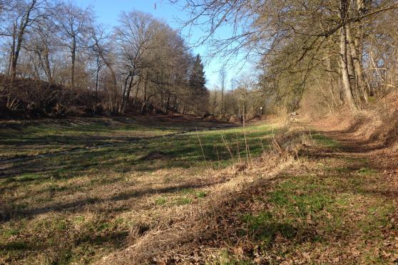 Den Frühling im Gepäck