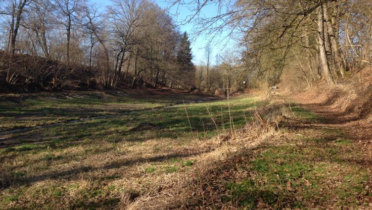 Den Frühling im Gepäck