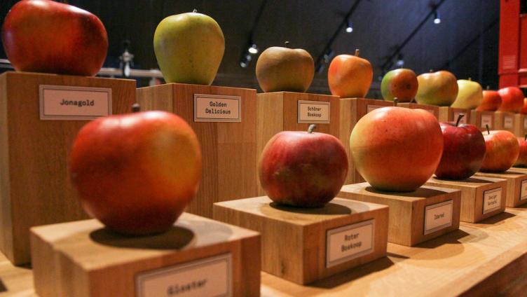 Apfel ist doch nicht gleich Apfel!